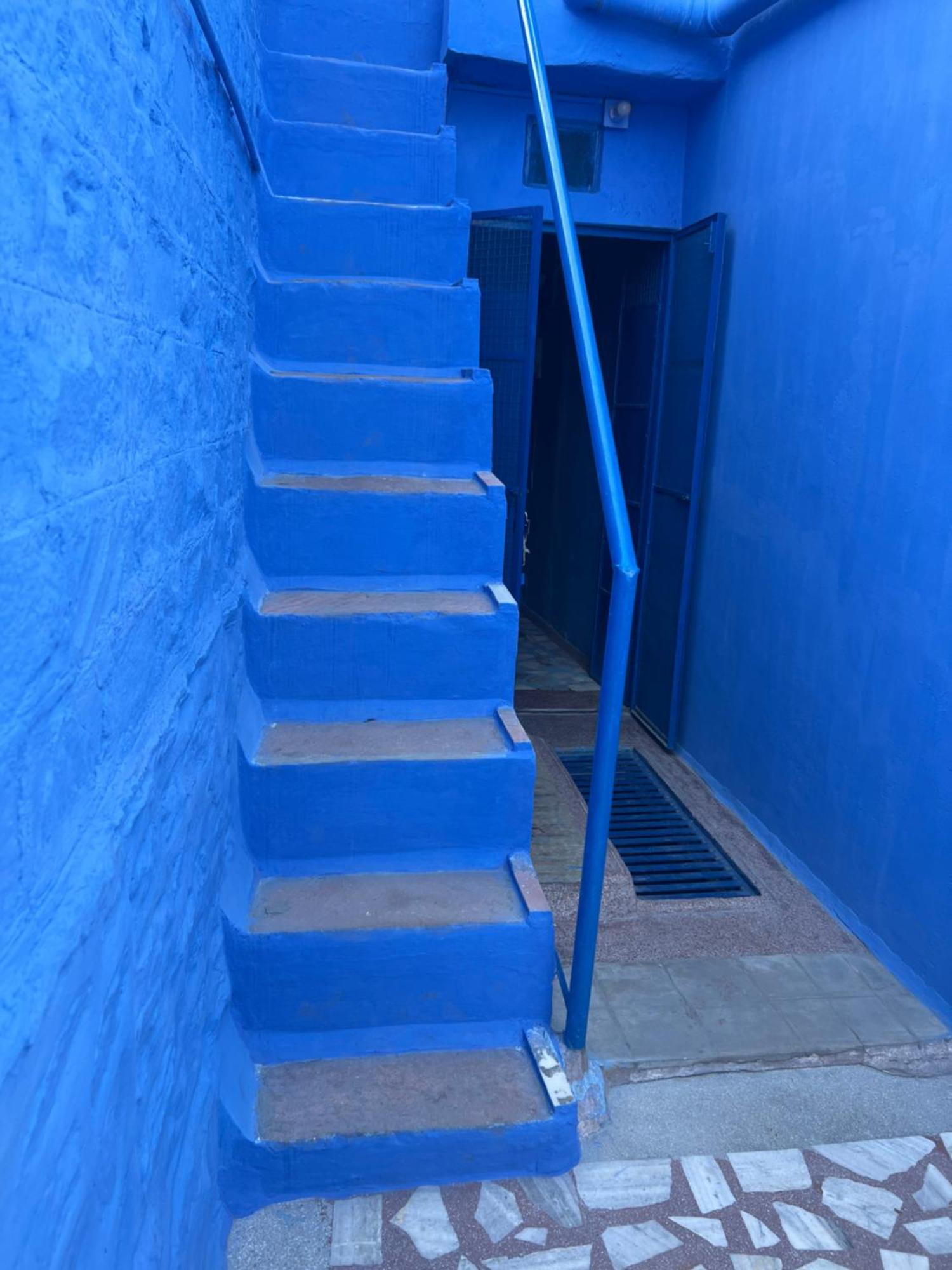 Cosy Guest House Джодпур Екстериор снимка